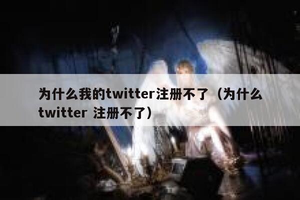 为什么我的twitter注册不了（为什么twitter 注册不了） 第1张