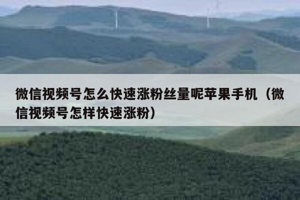 微信视频号怎么快速涨粉丝量呢苹果手机（微信视频号怎样快速涨粉） 第1张