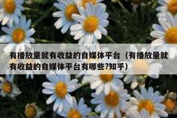 有播放量就有收益的自媒体平台（有播放量就有收益的自媒体平台有哪些?知乎） 第1张