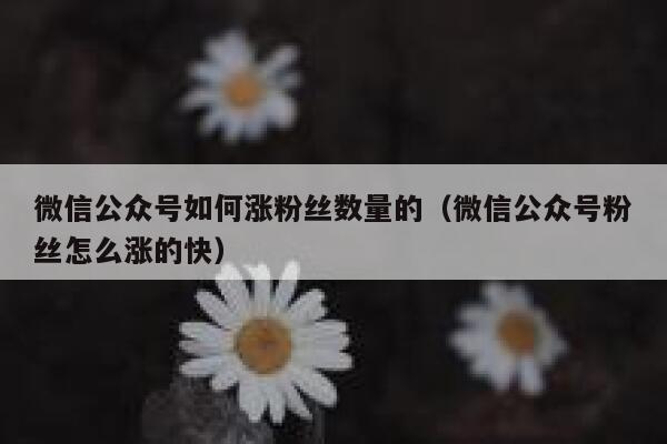 微信公众号如何涨粉丝数量的（微信公众号粉丝怎么涨的快） 第1张