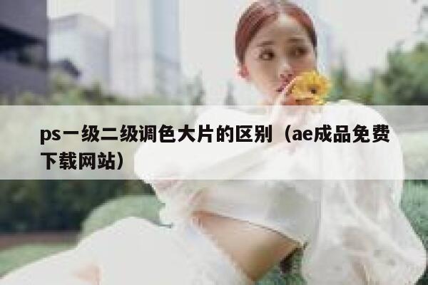 ps一级二级调色大片的区别（ae成品免费下载网站） 第1张