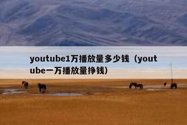 youtube1万播放量多少钱（youtube一万播放量挣钱） 第1张