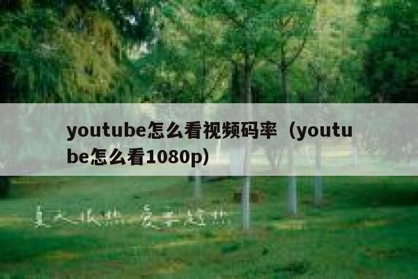 youtube怎么看视频码率（youtube怎么看1080p） 第1张
