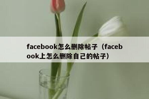 facebook怎么删除帖子（facebook上怎么删除自己的帖子） 第1张