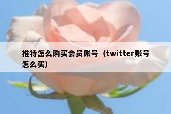 推特怎么购买会员账号（twitter账号怎么买） 第1张