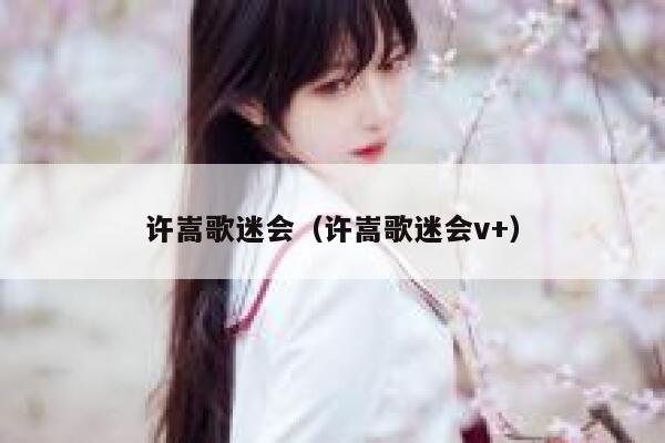 许嵩歌迷会（许嵩歌迷会v+） 第1张