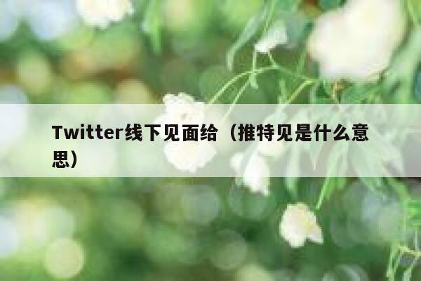 Twitter线下见面给（推特见是什么意思） 第1张