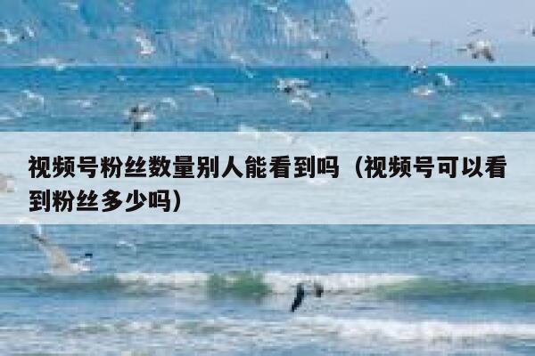 视频号粉丝数量别人能看到吗（视频号可以看到粉丝多少吗） 第1张