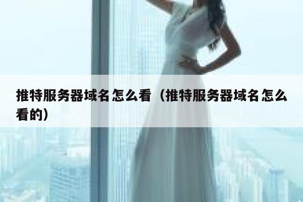 推特服务器域名怎么看（推特服务器域名怎么看的） 第1张