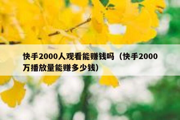 快手2000人观看能赚钱吗（快手2000万播放量能赚多少钱） 第1张