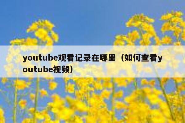 youtube观看记录在哪里（如何查看youtube视频） 第1张