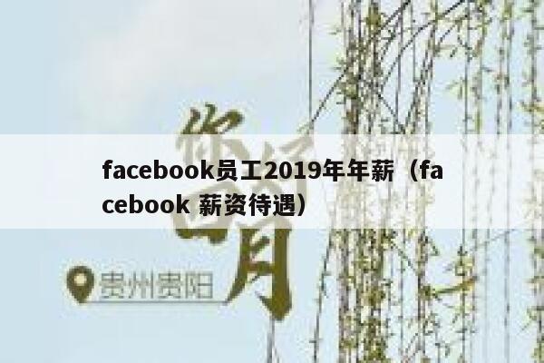 facebook员工2019年年薪（facebook 薪资待遇） 第1张