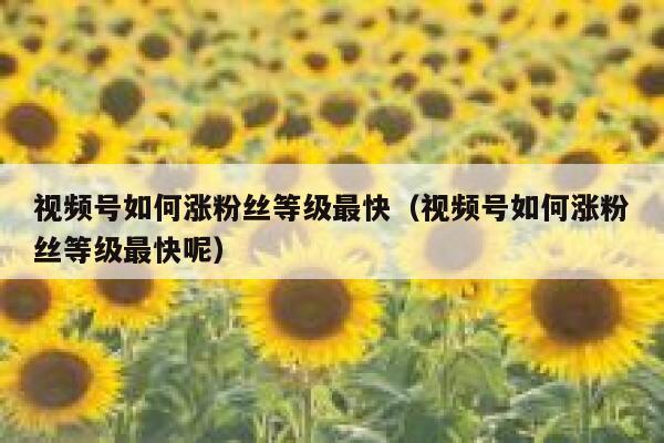 视频号如何涨粉丝等级最快（视频号如何涨粉丝等级最快呢） 第1张