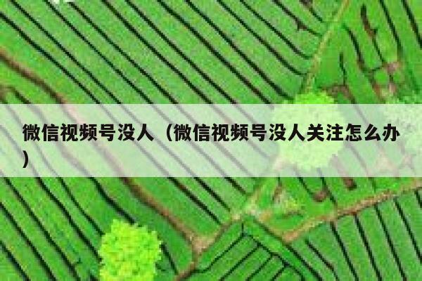 微信视频号没人（微信视频号没人关注怎么办） 第1张