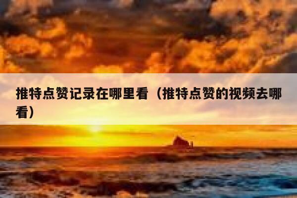推特点赞记录在哪里看（推特点赞的视频去哪看） 第1张