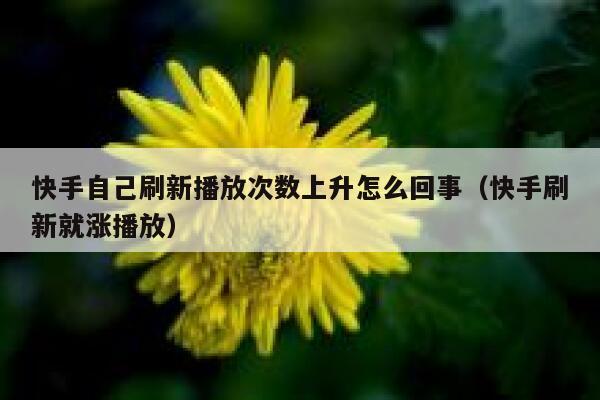 快手自己刷新播放次数上升怎么回事（快手刷新就涨播放） 第1张