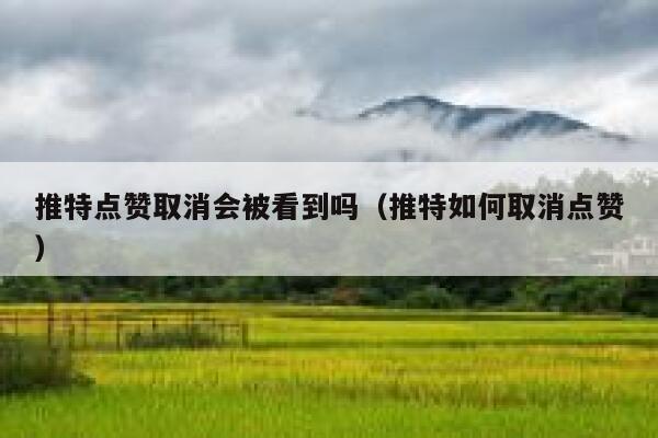 推特点赞取消会被看到吗（推特如何取消点赞） 第1张