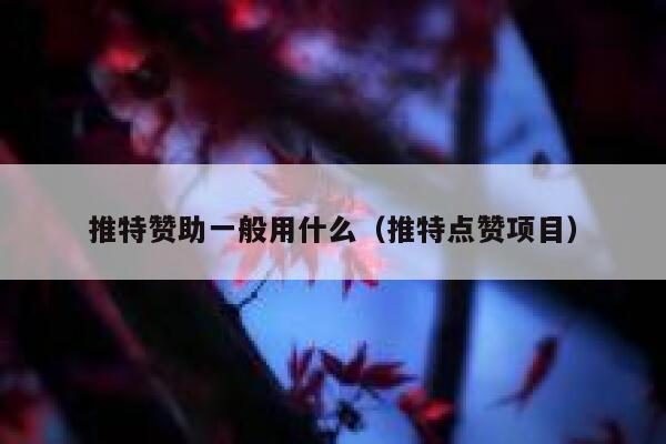 推特赞助一般用什么（推特点赞项目） 第1张