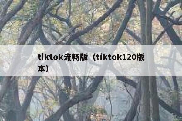 tiktok流畅版（tiktok120版本） 第1张