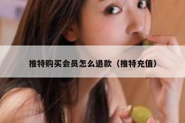 推特购买会员怎么退款（推特充值） 第1张