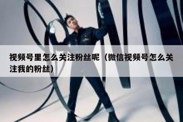 视频号里怎么关注粉丝呢（微信视频号怎么关注我的粉丝） 第1张