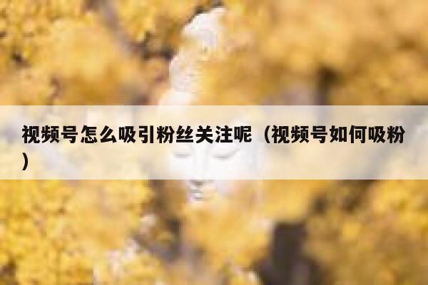 视频号怎么吸引粉丝关注呢（视频号如何吸粉） 第1张