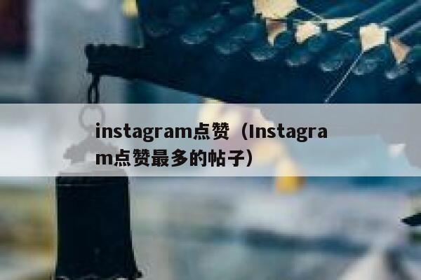 instagram点赞（Instagram点赞最多的帖子） 第1张