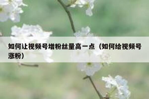 如何让视频号增粉丝量高一点（如何给视频号涨粉） 第1张
