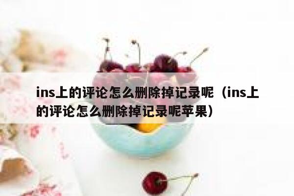 ins上的评论怎么删除掉记录呢（ins上的评论怎么删除掉记录呢苹果） 第1张