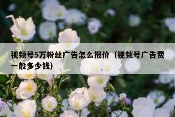 视频号5万粉丝广告怎么报价（视频号广告费一般多少钱） 第1张