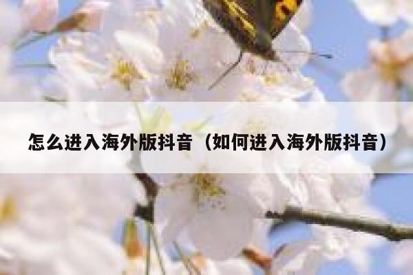 怎么进入海外版抖音（如何进入海外版抖音） 第1张