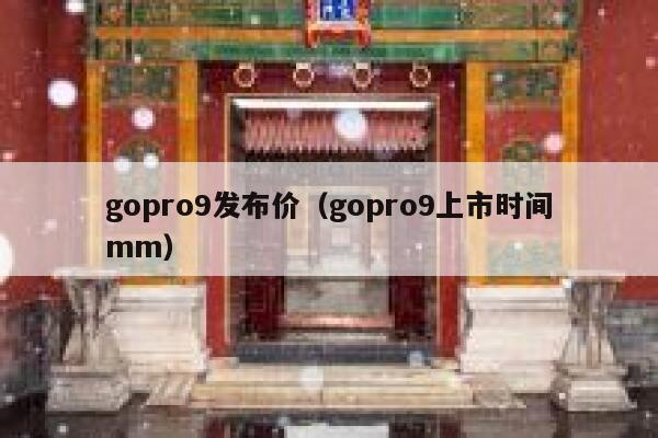 gopro9发布价（gopro9上市时间mm） 第1张