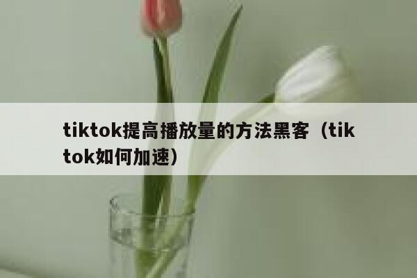 tiktok提高播放量的方法黑客（tiktok如何加速） 第1张