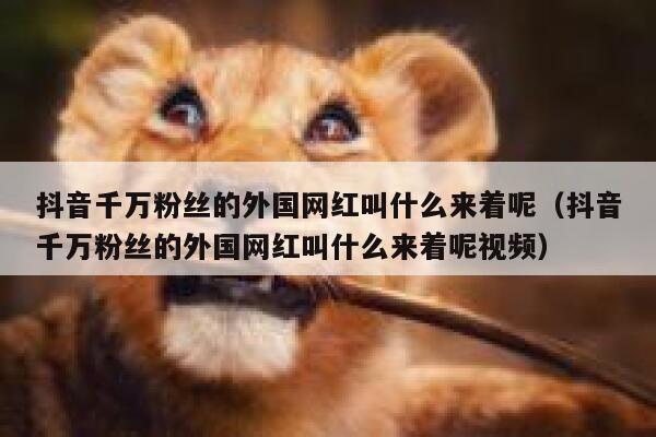 抖音千万粉丝的外国网红叫什么来着呢（抖音千万粉丝的外国网红叫什么来着呢视频） 第1张