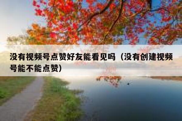 没有视频号点赞好友能看见吗（没有创建视频号能不能点赞） 第1张