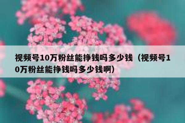 视频号10万粉丝能挣钱吗多少钱（视频号10万粉丝能挣钱吗多少钱啊） 第1张