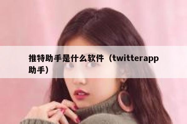 推特助手是什么软件（twitterapp助手） 第1张