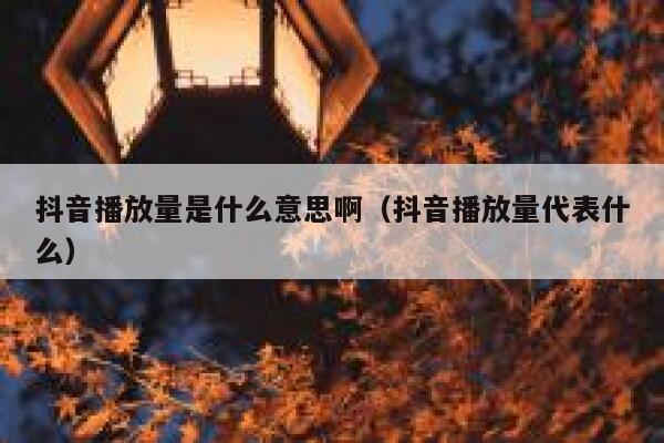 抖音播放量是什么意思啊（抖音播放量代表什么） 第1张