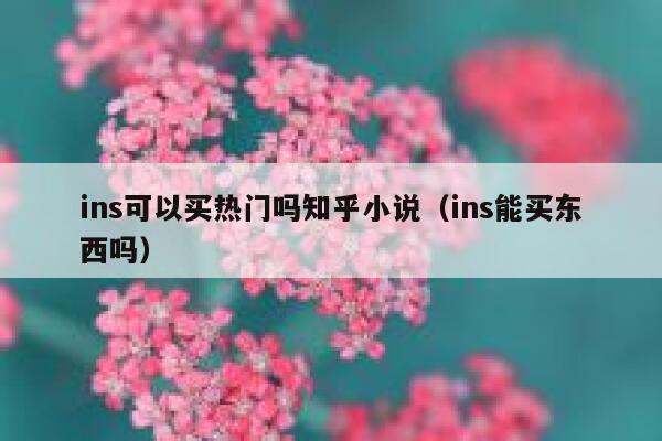 ins可以买热门吗知乎小说（ins能买东西吗） 第1张