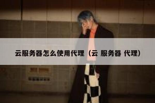 云服务器怎么使用代理（云 服务器 代理） 第1张