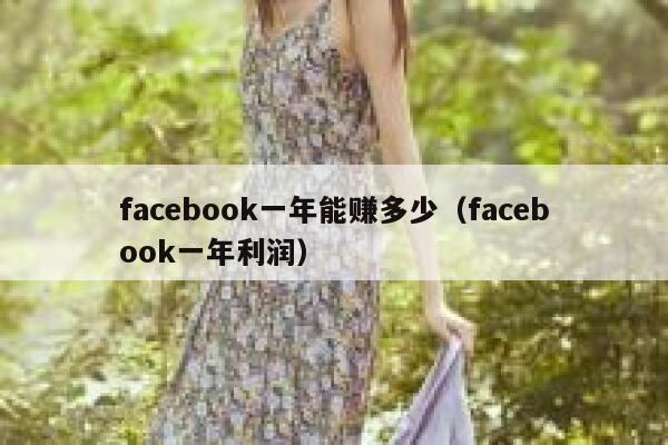 facebook一年能赚多少（facebook一年利润） 第1张