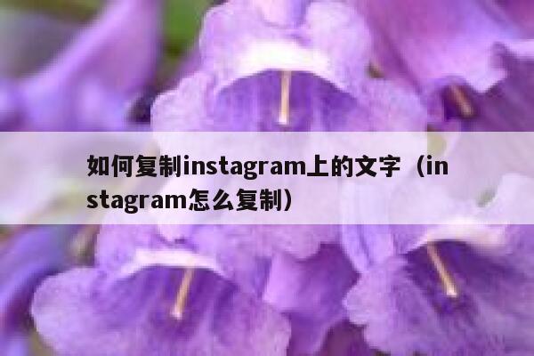 如何复制instagram上的文字（instagram怎么复制） 第1张