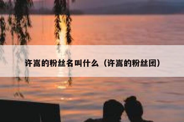 许嵩的粉丝名叫什么（许嵩的粉丝团） 第1张