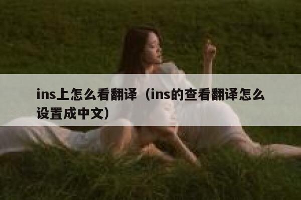 ins上怎么看翻译（ins的查看翻译怎么设置成中文） 第1张