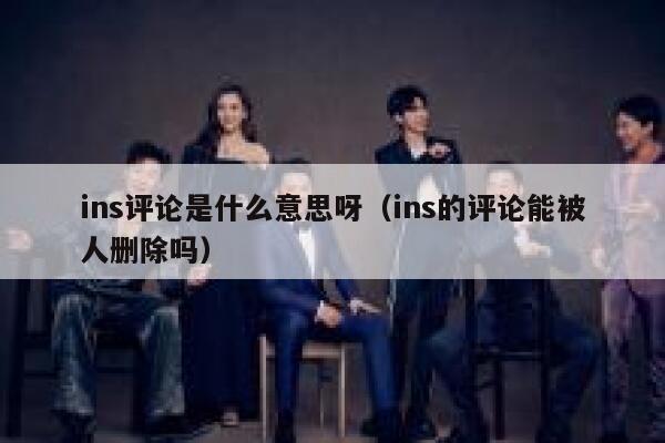 ins评论是什么意思呀（ins的评论能被人删除吗） 第1张