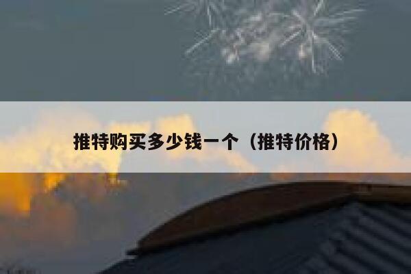 推特购买多少钱一个（推特价格） 第1张