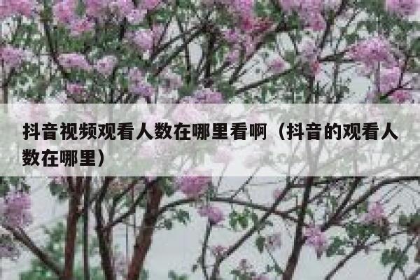 抖音视频观看人数在哪里看啊（抖音的观看人数在哪里） 第1张