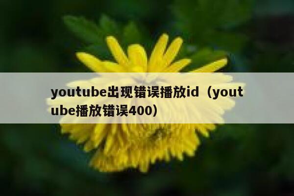 youtube出现错误播放id（youtube播放错误400） 第1张