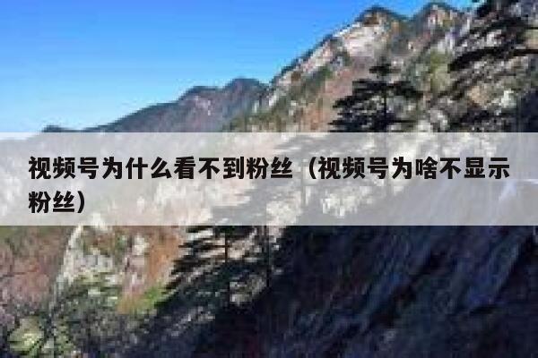 视频号为什么看不到粉丝（视频号为啥不显示粉丝） 第1张