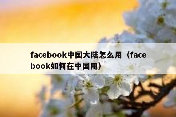 facebook中国大陆怎么用（facebook如何在中国用） 第1张
